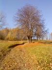 Unterkunft Bartonička im Winter