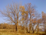 Unterkunft Bartonička im Winter